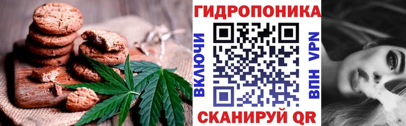 mega маркетплейс  наркотики  Асбест  Еда ТГК марихуана 