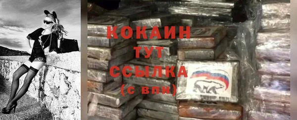 мяу мяу мука Аркадак